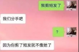 始兴贷款清欠服务